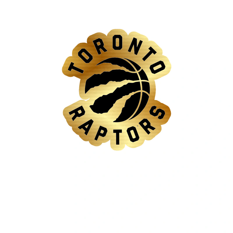 Toronto Raptors - Image 8 - Gold Chrome Vinyl Sticker - Custom Size