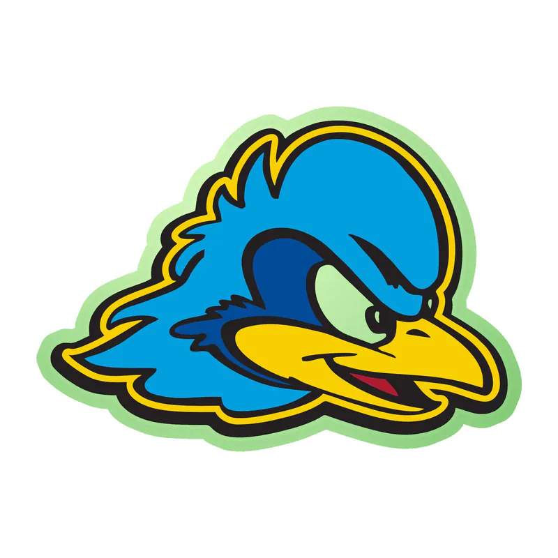 Delaware Blue Hens - Image 1 - Glow in the Dark Vinyl Decal - Custom Size
