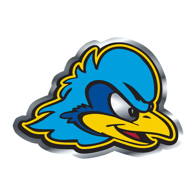 Delaware Blue Hens - Image 1 - Silver Chrome Vinyl Decal - Custom Size