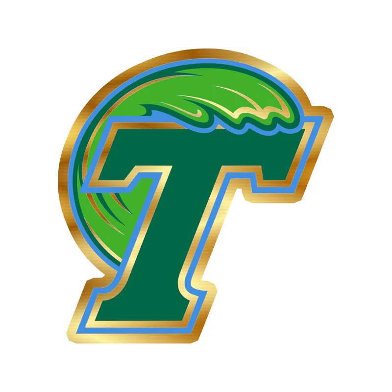 Tulane Gold Chrome Vinyl Decal - Custom Size