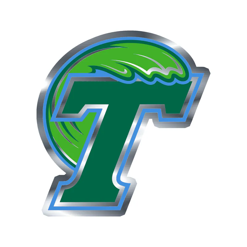 Tulane Silver Chrome Vinyl Decal - Custom Size