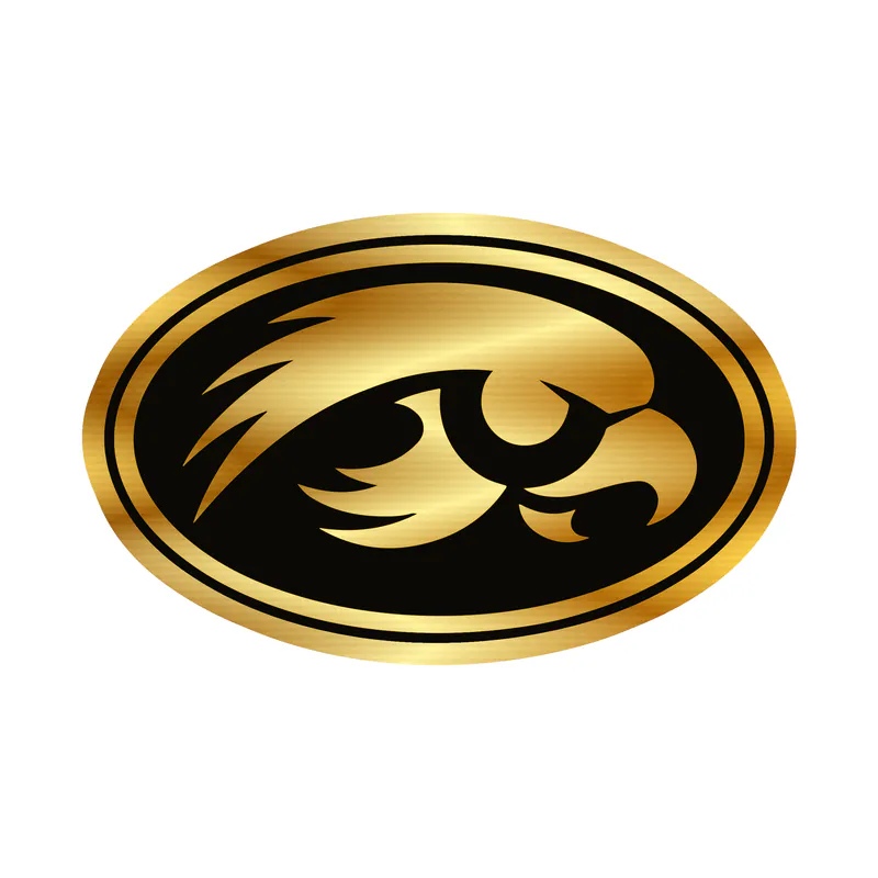 Iowa Hawkeyes - Yellow Hawk Head - Image 2 - Gold Chrome Vinyl Decal - Custom Size