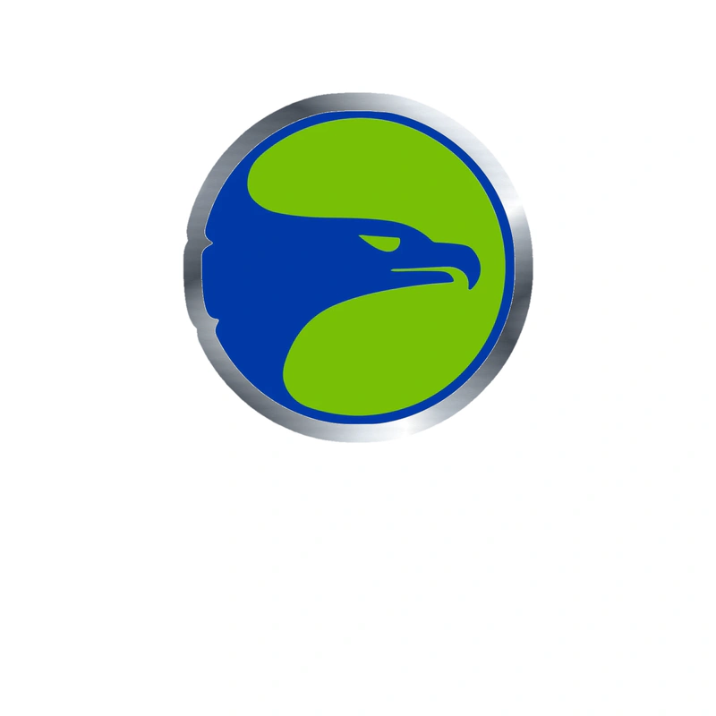 Atlanta Hawks - Green Circle With Blue Hawk - Silver Chrome Vinyl Sticker - Custom Size