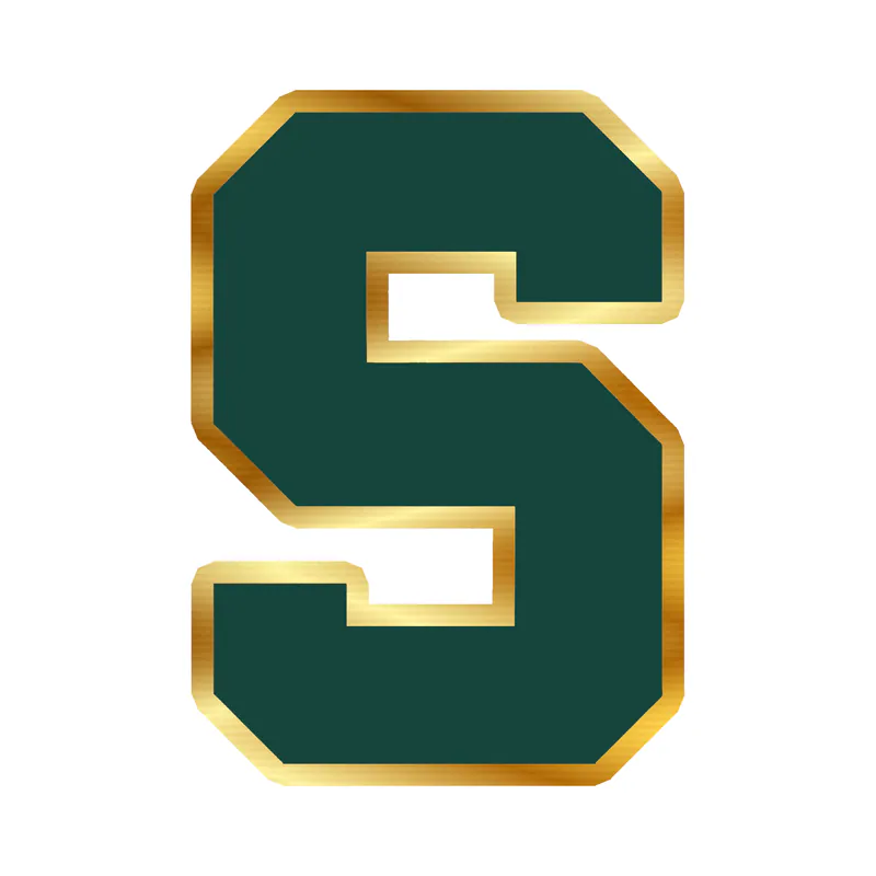 Michigan State Spartans - S - Gold Chrome Vinyl Decal - Custom Size
