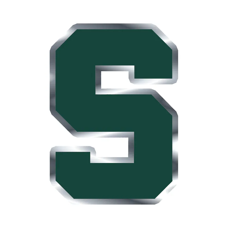 Michigan State Spartans - S - Silver Chrome Vinyl Decal - Custom Size