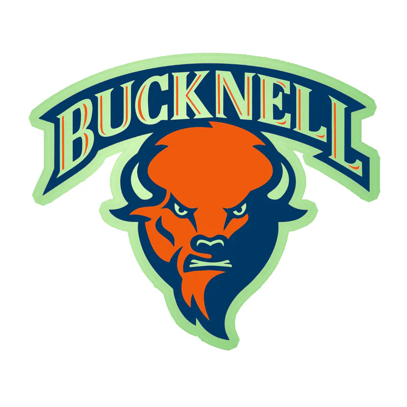 Bucknell Bison - Image 2 - Glow in the Dark Vinyl Decal - Custom Size
