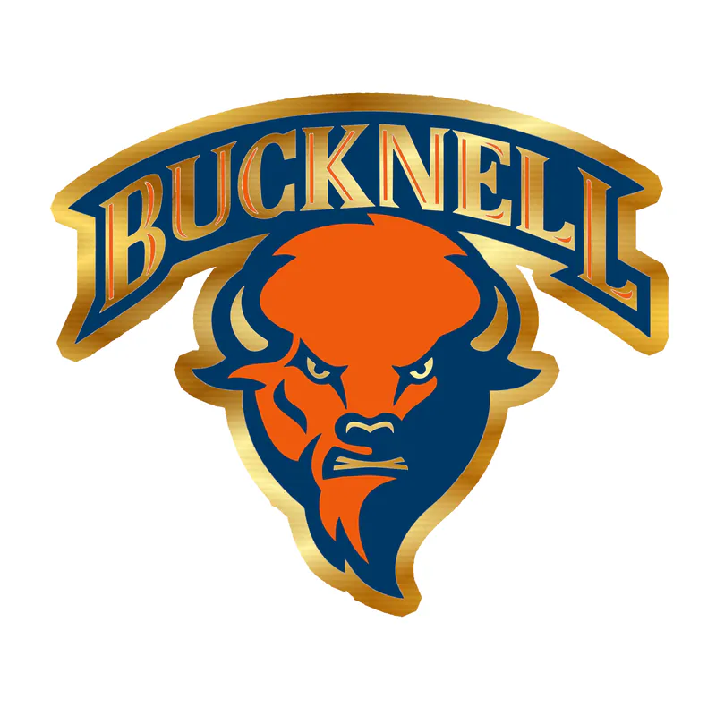 Bucknell Bison - Image 2 - Gold Chrome Vinyl Decal - Custom Size