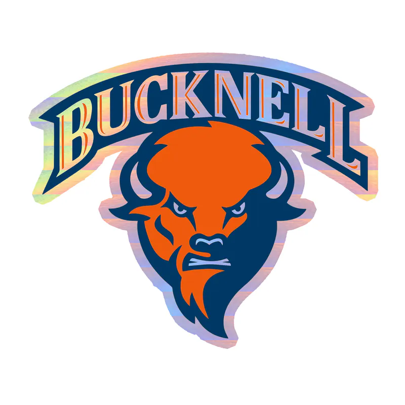 Bucknell Bison - Image 2 - Holographic Vinyl Decal - Custom Size