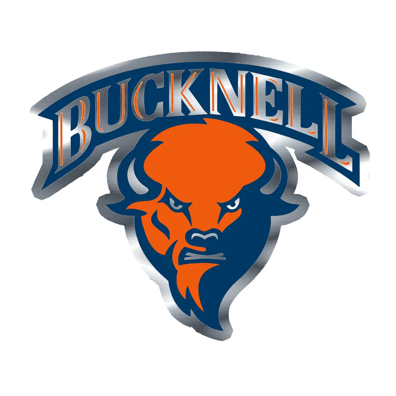 Bucknell Bison - Image 2 - Silver Chrome Vinyl Decal - Custom Size
