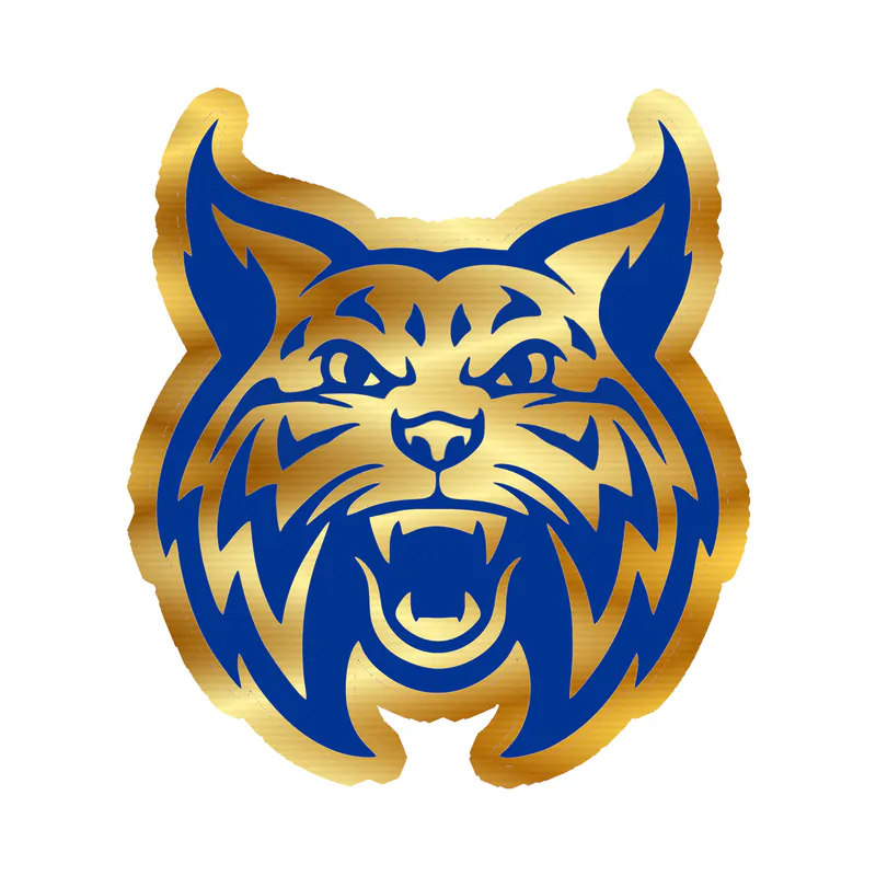 Welch Wildcats - Gold Chrome Vinyl Decal - Custom Size