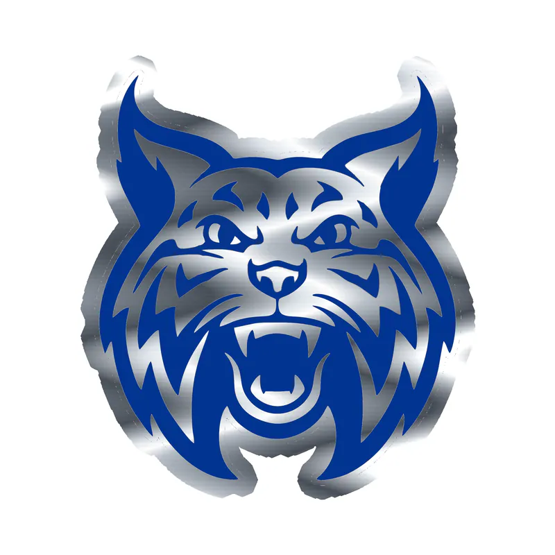 Welch Wildcats - Silver Chrome Vinyl Decal - Custom Size