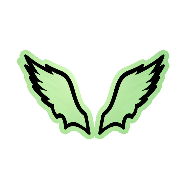 Philadelphia Eagles - Image 14 - Glow in the Dark Vinyl Sticker - Custom Size