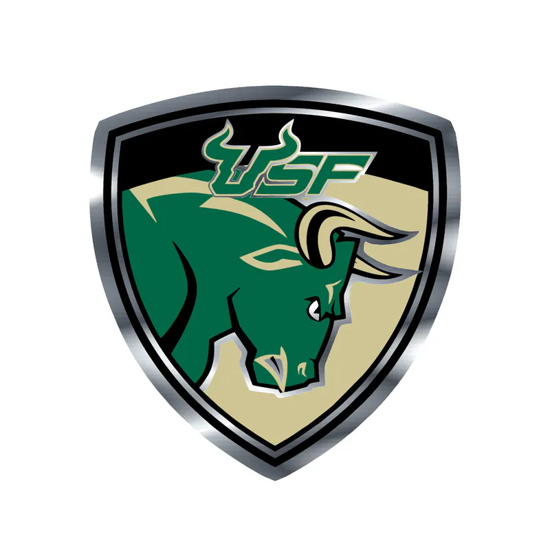 USF Bulls - Image 3 - Silver Chrome Vinyl Decal - Custom Size