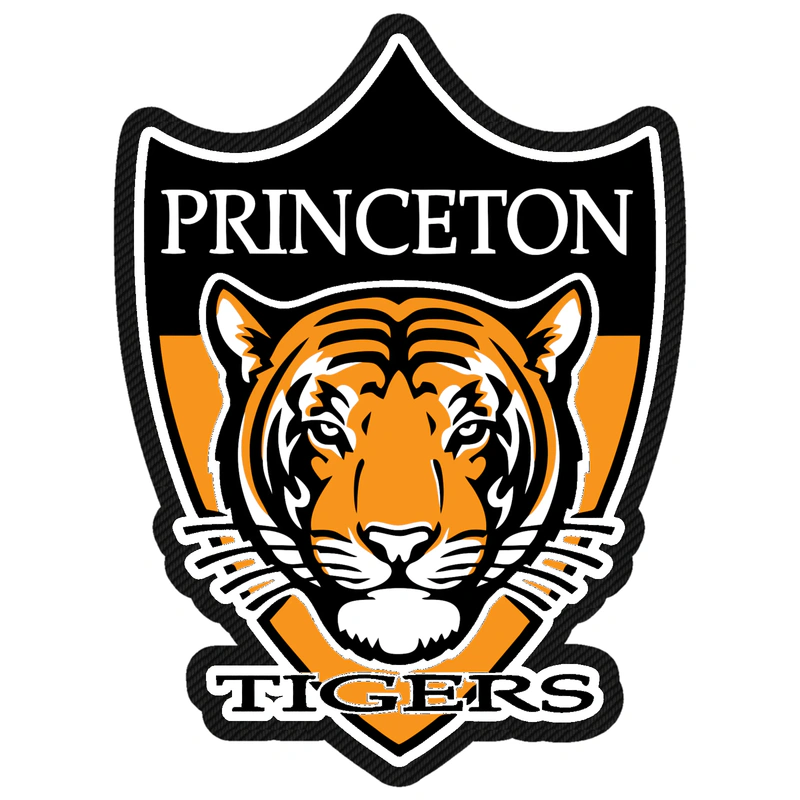 Princeton Tigers - Carbon Fiber Vinyl Decal - Custom Size
