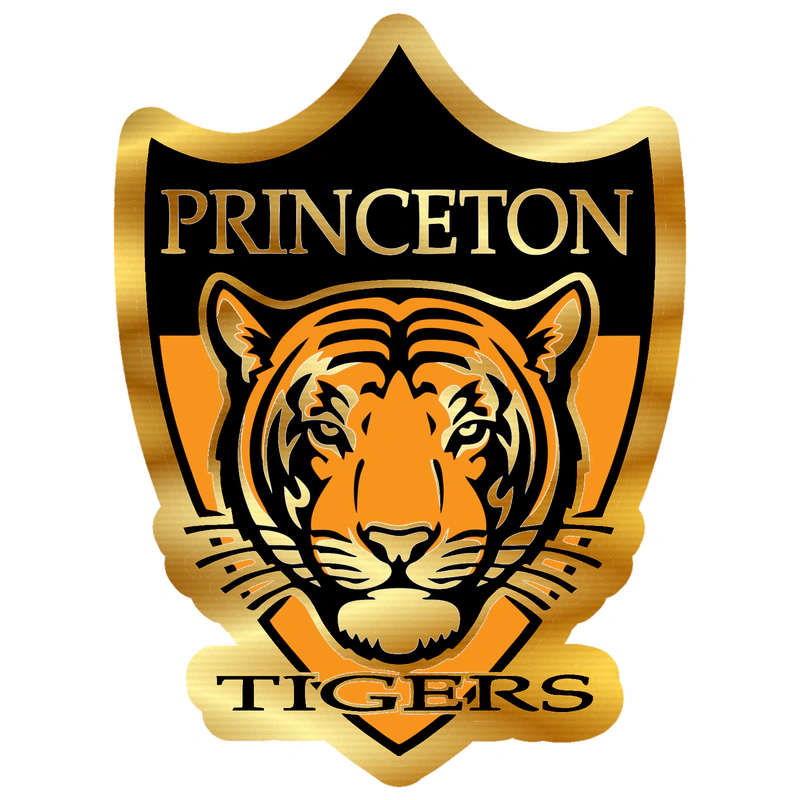 Princeton Tigers - Gold Chrome Vinyl Decal - Custom Size
