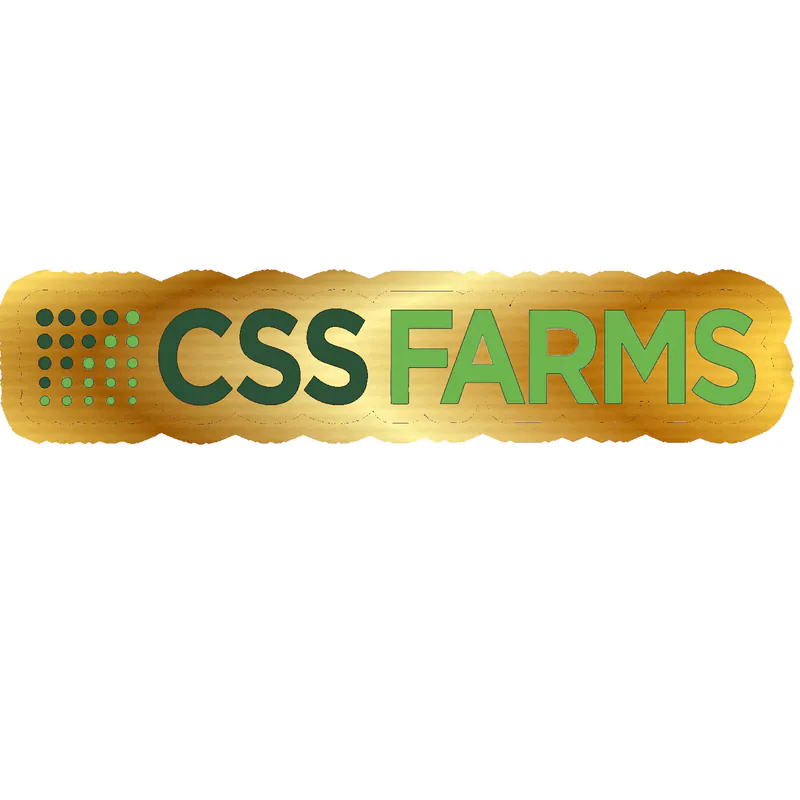 Custom for Nathan - CSS - Gold Chrome Vinyl Decal