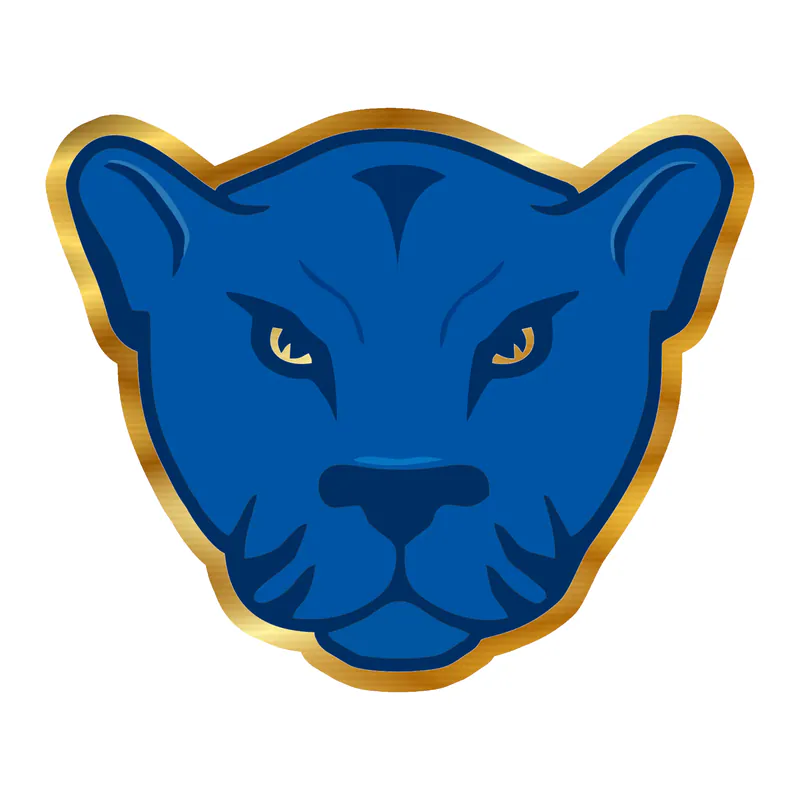 Custom for Thomas - Gold Chrome Vinyl Decal