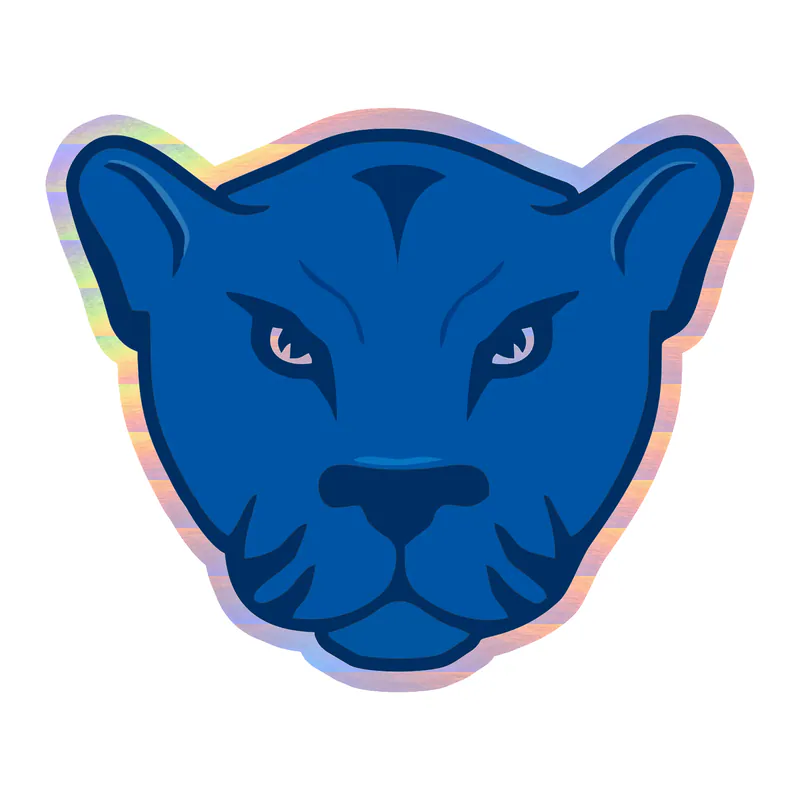 Custom for Thomas - Holographic Vinyl Decal
