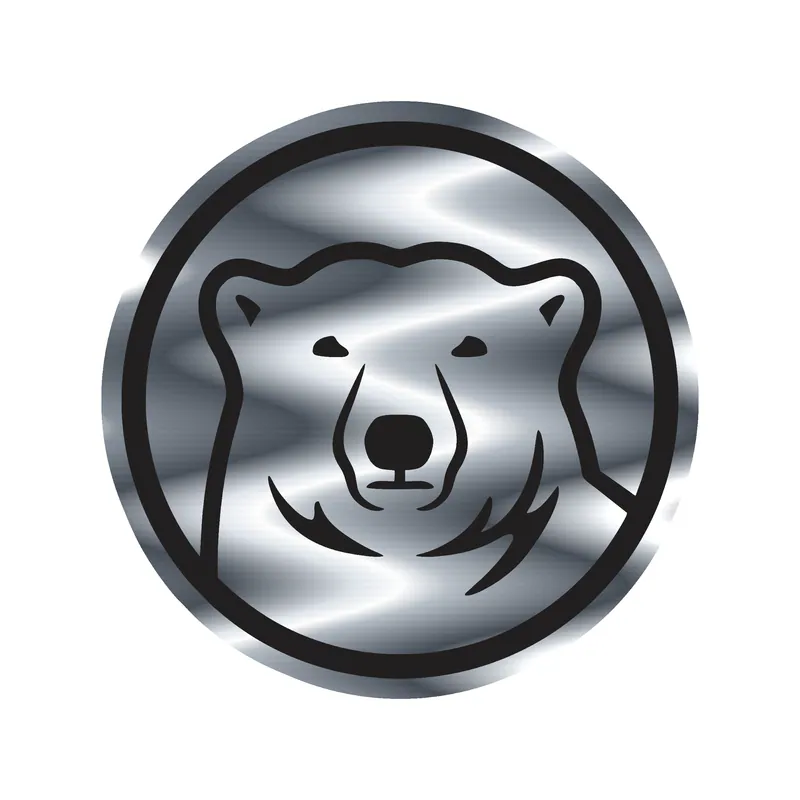 Custom for Will - Silver Chrome Vinyl Decal