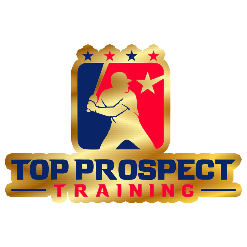 Top Prospect Training Full Color Decal - Gold Chrome Vinyl Sticker - Custom Size