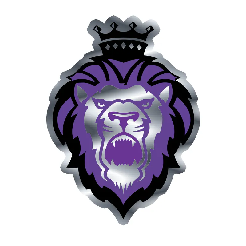 Custom for William - Silver Chrome Vinyl Decal