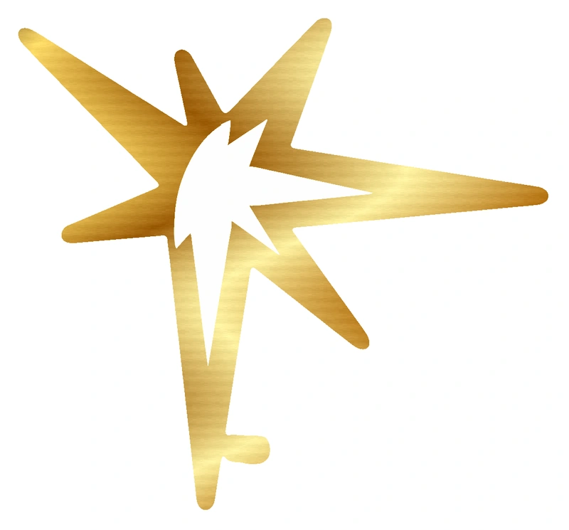 Tampa Bay Rays - Sunburst - Gold Chrome Vinyl Sticker - Custom Size