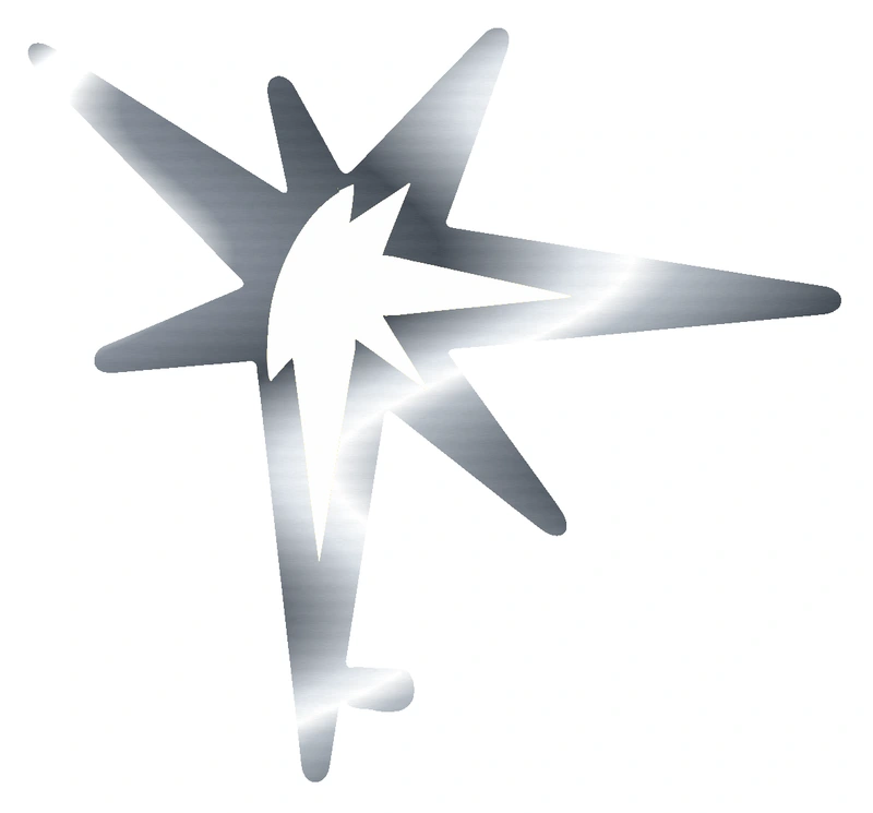 Tampa Bay Rays - Sunburst - Silver Chrome Vinyl Sticker - Custom Size
