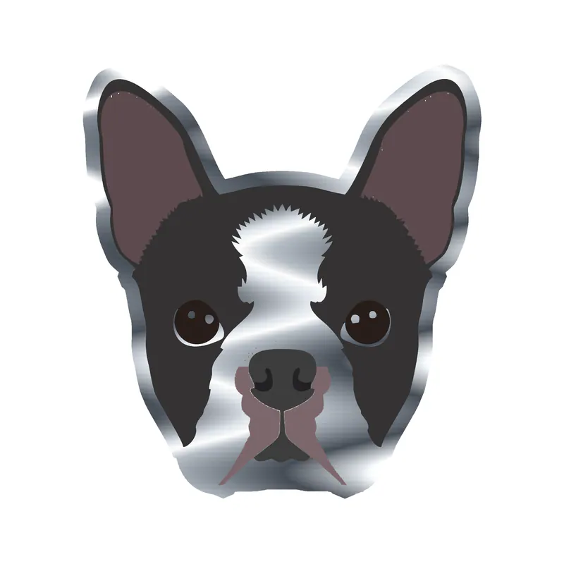 Boston Terrier - Silver Chrome Vinyl Sticker - Custom Size