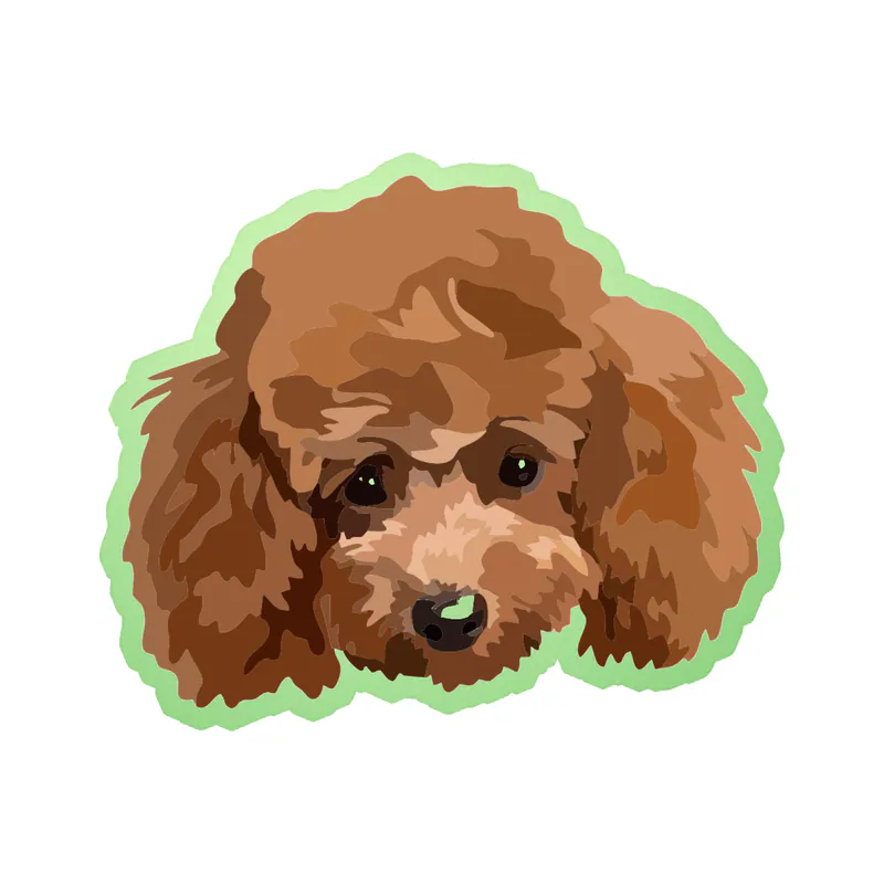 Poodle - Glow in the Dark Vinyl Sticker - Custom Size