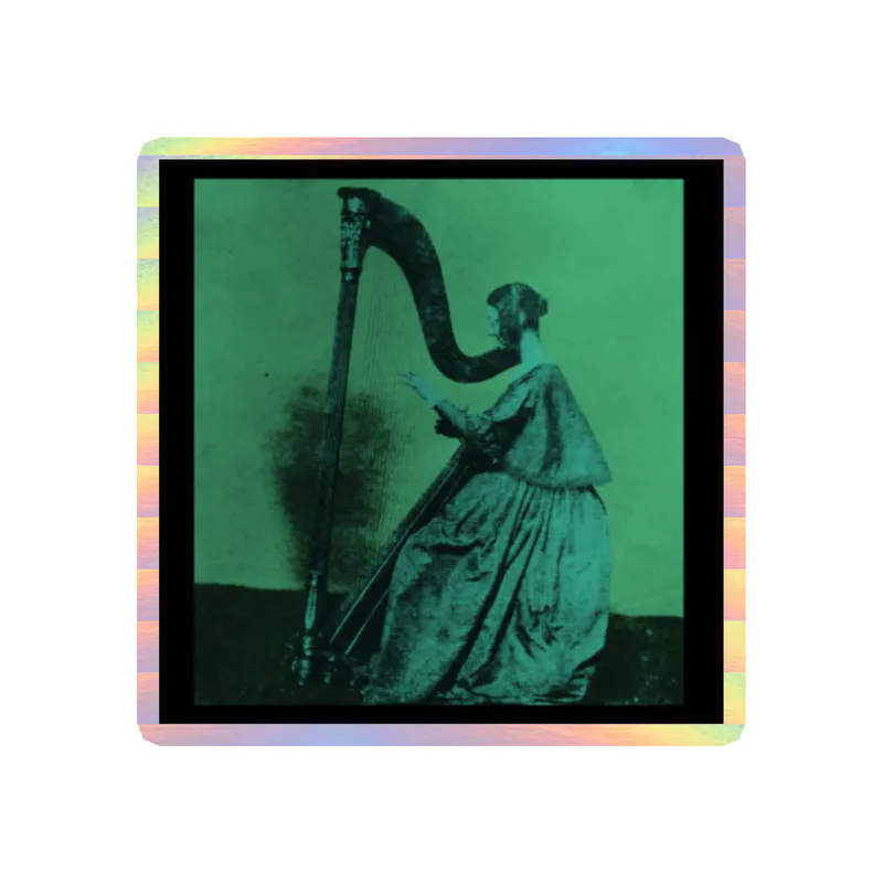 Tv Girl - Grapes Upon The Vine Album Cover - Holographic Vinyl Sticker - Custom Size