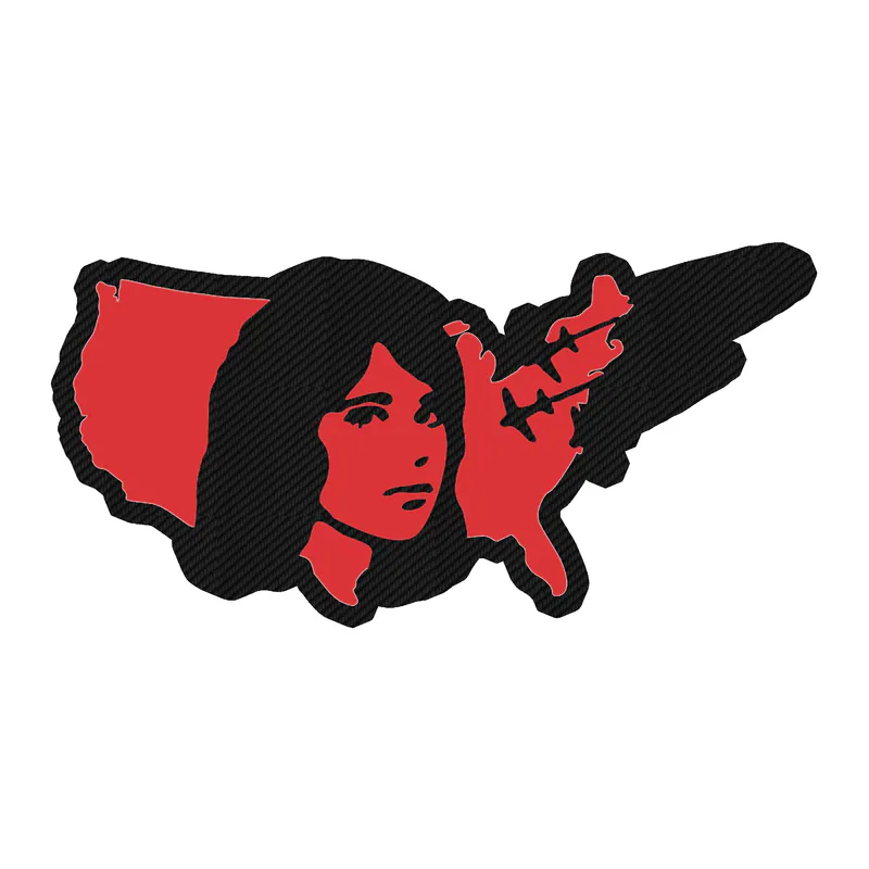 Tv Girl - U.S. Tour 2 - Carbon Fiber Vinyl Sticker - Custom Size