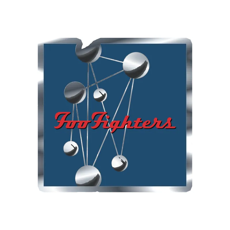 Foo Fighters - The Colour And The Shape Album Cover - Silver Chrome Vinyl Sticker - Custom Size