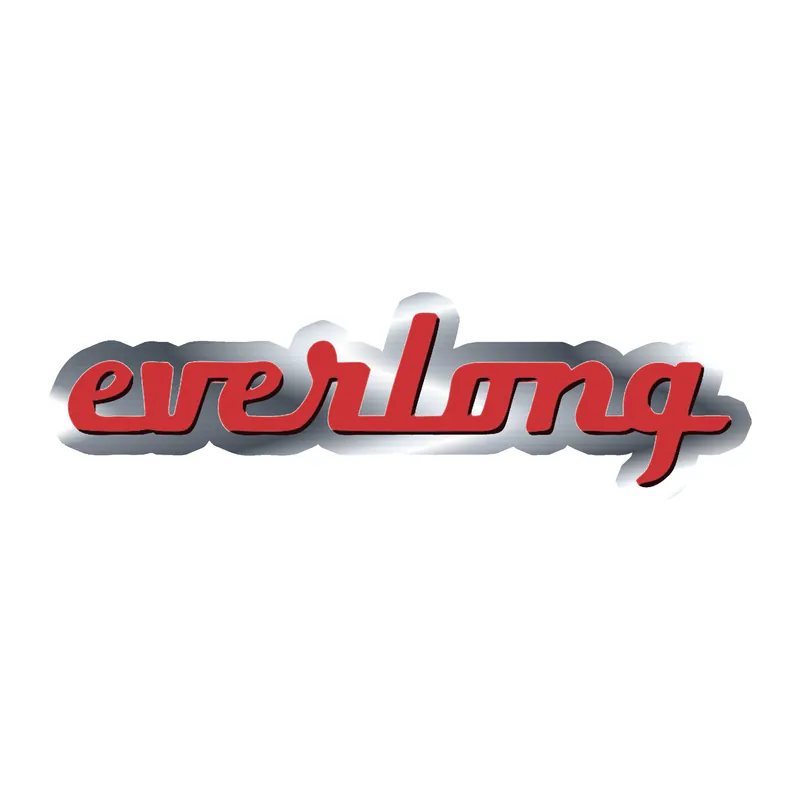 Foo Fighters - Everlong- Silver Chrome Vinyl Sticker - Custom Size