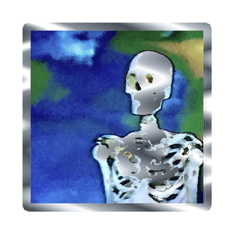 Bones Album Cover Silver Chrome Vinyl Decal - Custom Size