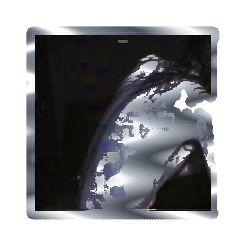 Bones Album Cover Silver Chrome Vinyl Decal - Custom Size