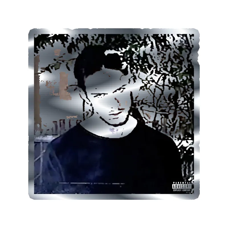 Bones Album Cover Silver Chrome Vinyl Decal - Custom Size