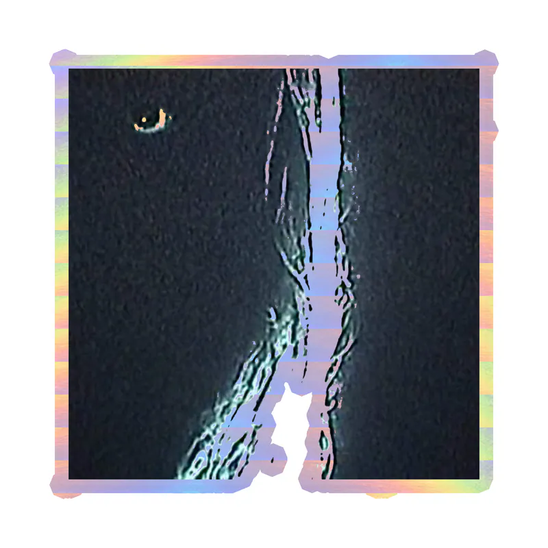 Bones Album Cover Holographic Vinyl Decal - Custom Size