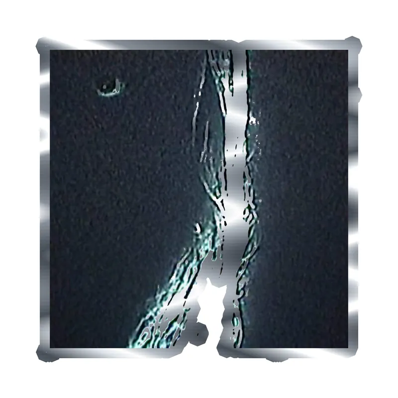 Bones Album Cover Silver Chrome Vinyl Decal - Custom Size